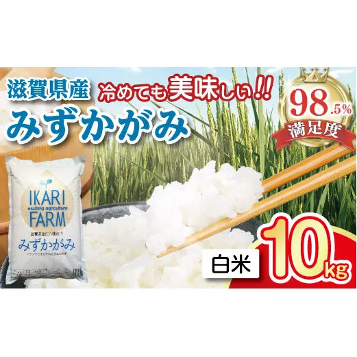 【7年産】冷めても美味しいあっさりとした味わい「みずかがみ」白米【10kg(5kg×2袋)】【C015W】