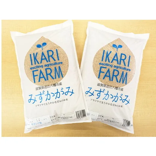 【新米】【7年産】冷めても美味しいあっさりとした味わい「みずかがみ」玄米【10kg（5kg×2袋）】【C018U1】