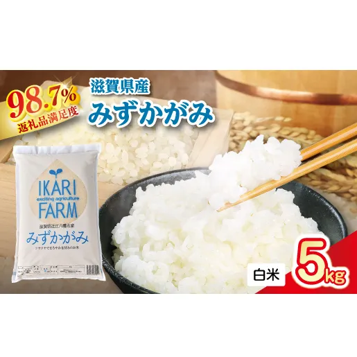 【新米】令和8年産冷めても美味しいあっさりとした味わい「みずかがみ」白米【5kg】【C014W2】(滋賀県 近江八幡市)