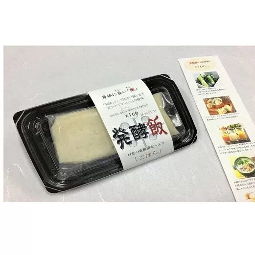 発酵飯10個【100g×10p】【AD24U1】