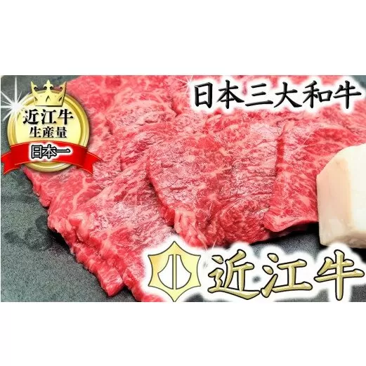 【総本家　肉のあさの】５等級近江牛焼肉用（もも・かた）【400ｇ】【AE11U】