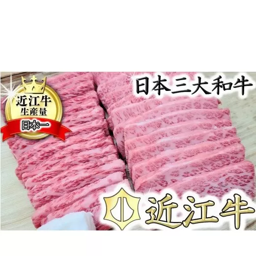 【総本家　肉のあさの】５等級近江牛焼肉用（肩ロース・バラ）【500ｇ】【AE12U】