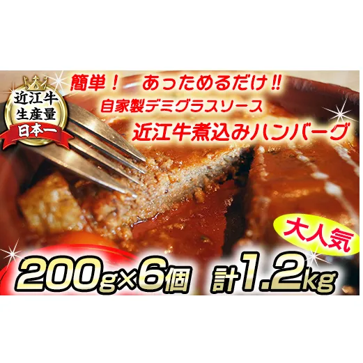 近江牛煮込みハンバーグ　自家製デミグラスソース　【1200g（200ｇ×6個）】【DI01W】