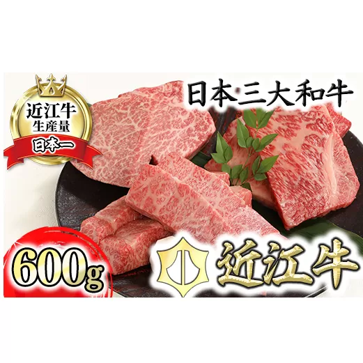 近江牛A5ランク厳選カットステーキ3種【600g】【DG03U】