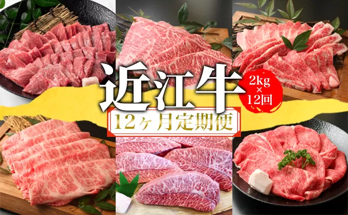 近江牛 総重量24kg 12か月定期便 近江牛2kgを12回お届け![0153]