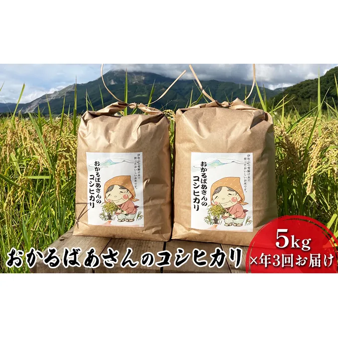 【令和6年産新米予約受付】【5kg×3か月連続お届け】おかるばあさんのコシヒカリ お米 