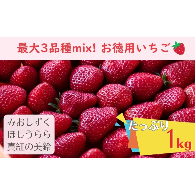 【たっぷり最大3品種ミックス】お徳用いちご(1kg超入り)※本州限定 果物類 フルーツ 果物 