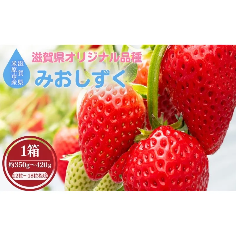 【本州限定】滋賀県オリジナルいちご「みおしずく」 果物 フルーツ デザート おやつ 甘い 酸味 とろける やわらかい 