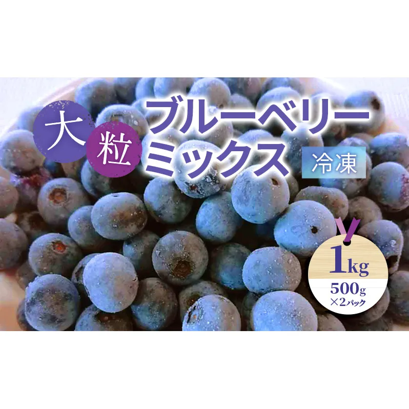大粒ブルーベリーミックス（冷凍）1kg（500g×2パック）| ブルーベリー 果物 フルーツ 冷凍フルーツ ベリー類