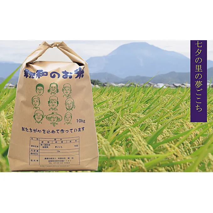 七夕の里の夢ごこち 10kg お米 米 