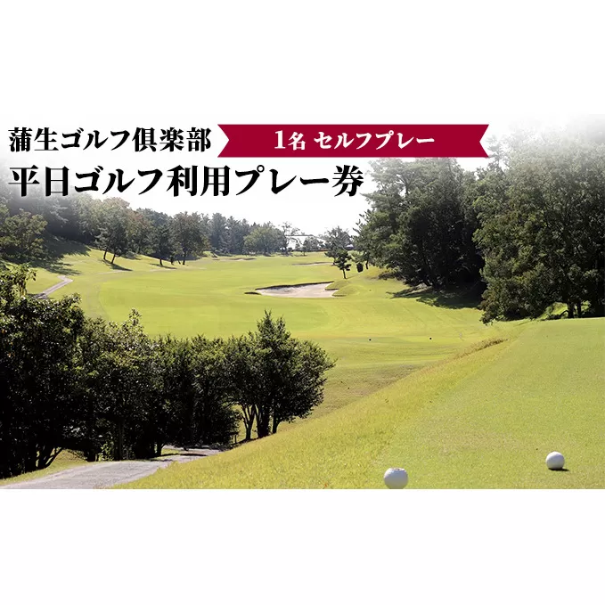蒲生ゴルフ倶楽部平日ゴルフ利用プレー券/1名セルフプレー