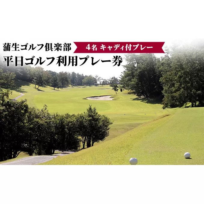 蒲生ゴルフ倶楽部平日ゴルフ利用プレー券/4名キャディ付プレー