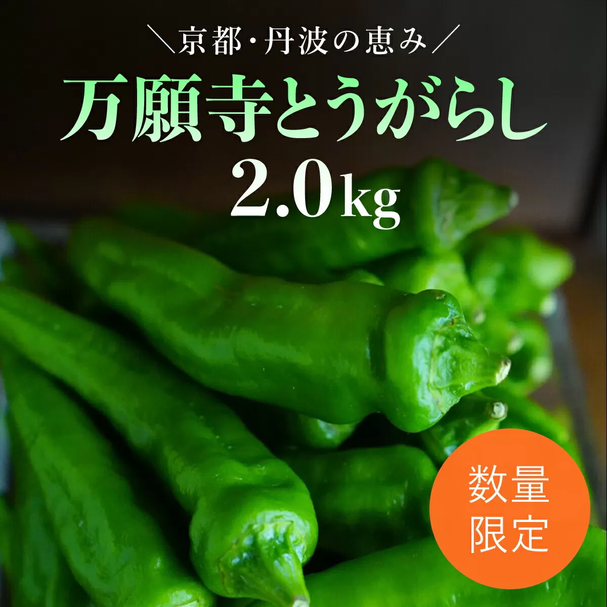 【2025年6月下旬発送開始！】万願寺とうがらし 2㎏ / ふるさと納税 京野菜 野菜 旬の野菜 万願寺とうがらし 伝統野菜 京都 京都府 福知山市 FCDB040