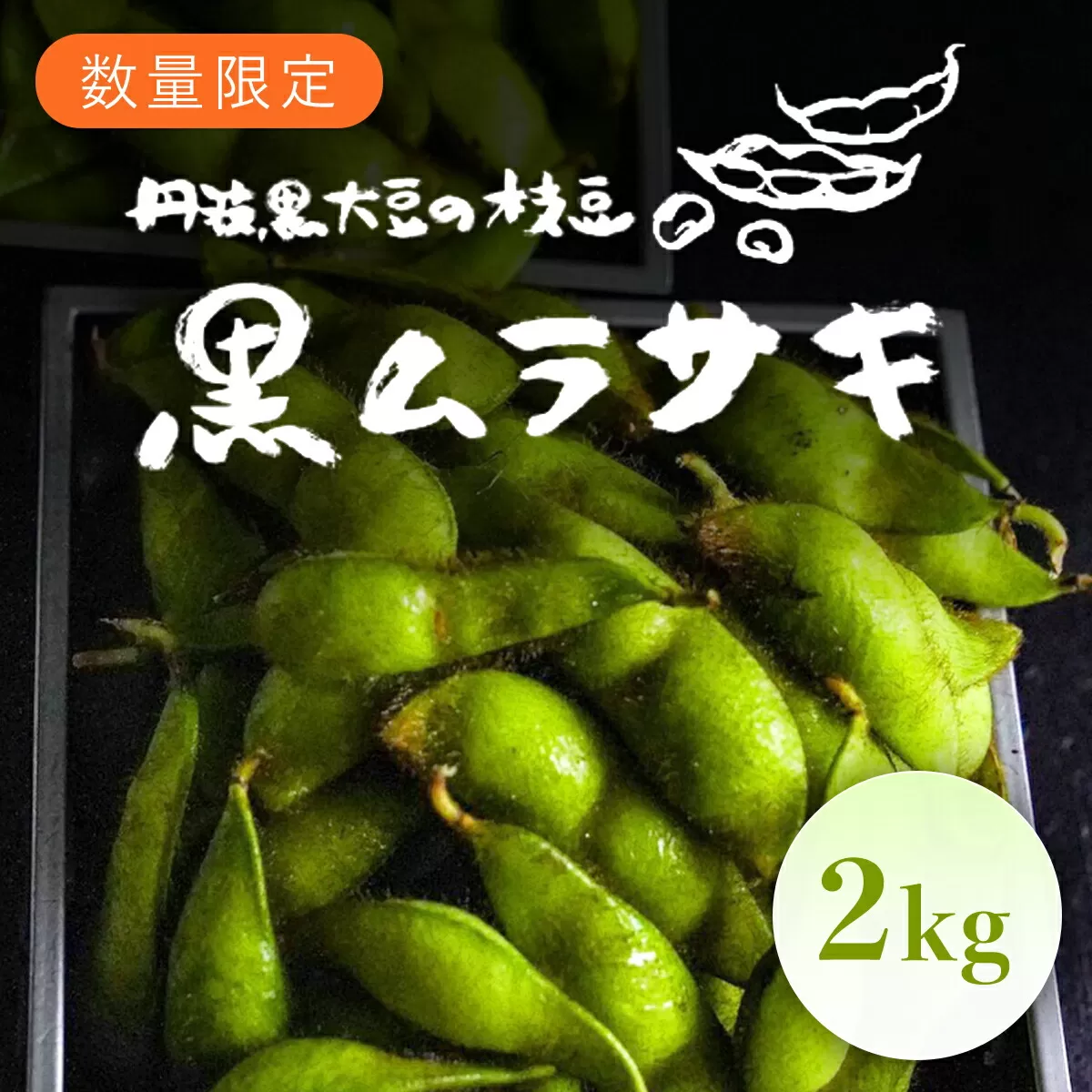 ★先行予約★【2025年10月発送！】丹波黒大豆の枝豆「黒ムラサキ」2㎏ / ふるさと納税 京野菜 野菜 丹波 黒大豆 枝豆 大粒 季節限定 数量限定 京都府 福知山市 FCDB038