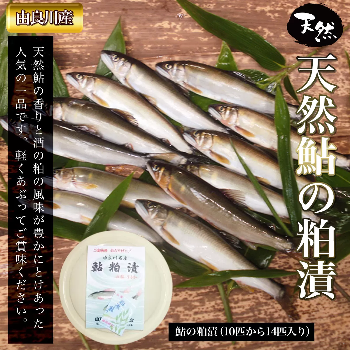 【由良川産】天然鮎の粕漬  ふるさと納税 鮎 あゆ 天然 京都府 福知山市