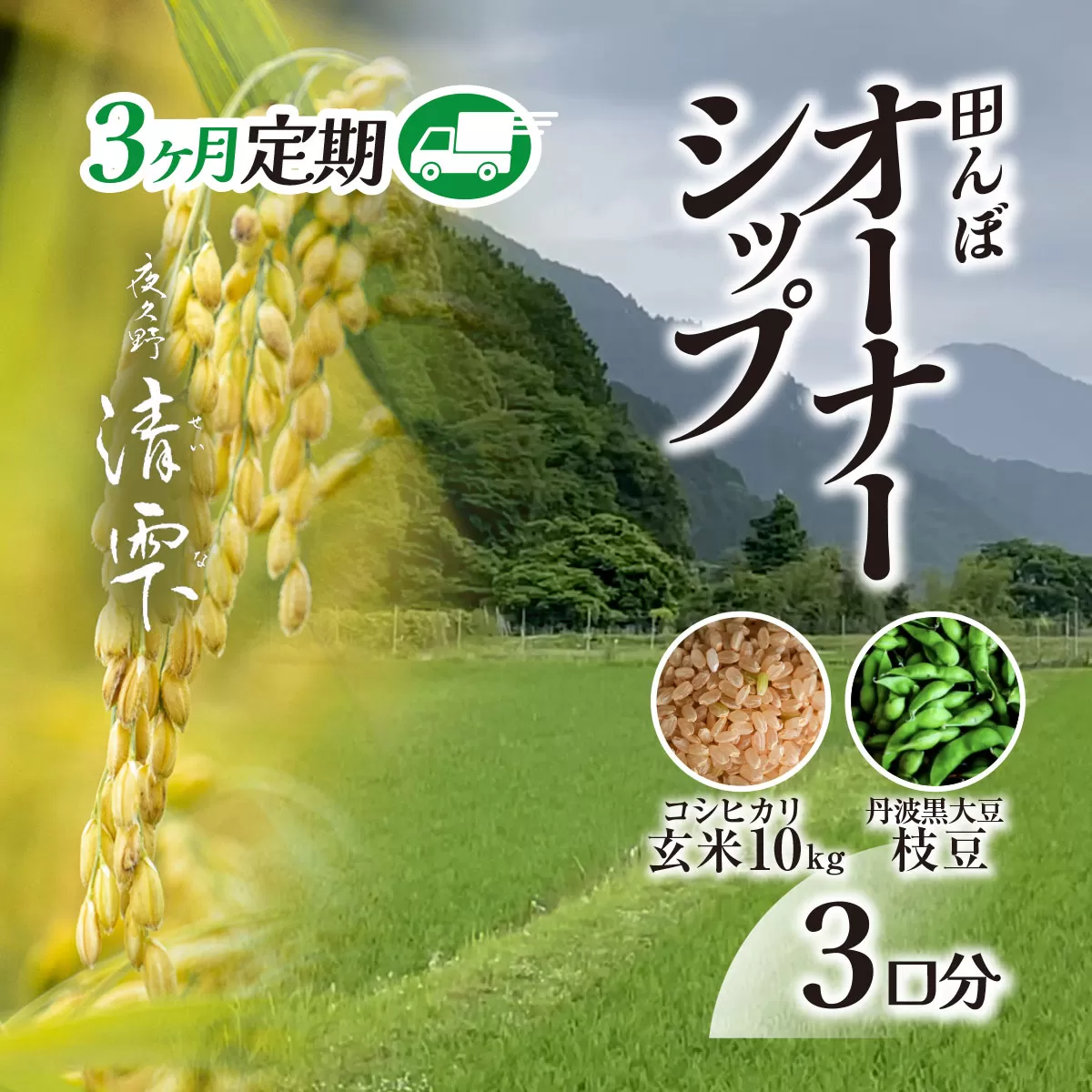 ＜令和7年10月中旬より発送！＞【3ヶ月定期】田んぼオーナーシップ3口分　清雫　玄米10kg+黒ムラサキ（丹波黒大豆の枝豆）/ ふるさと納税 田んぼ オーナー制度 米 玄米 令和7年度産 先行 定期 10kg 3回 収穫 夜久野 京都 京都府 福知山 FCDB006