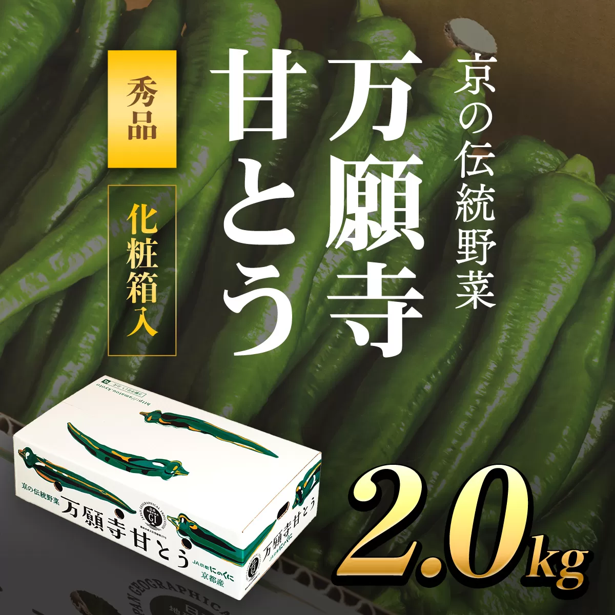 京のブランド産品　万願寺甘とう　秀品 2kg  ふるさと納税 京野菜 旬の野菜 万願寺 甘とう とうがらし 大型 肉厚 甘い 京都府 福知山市