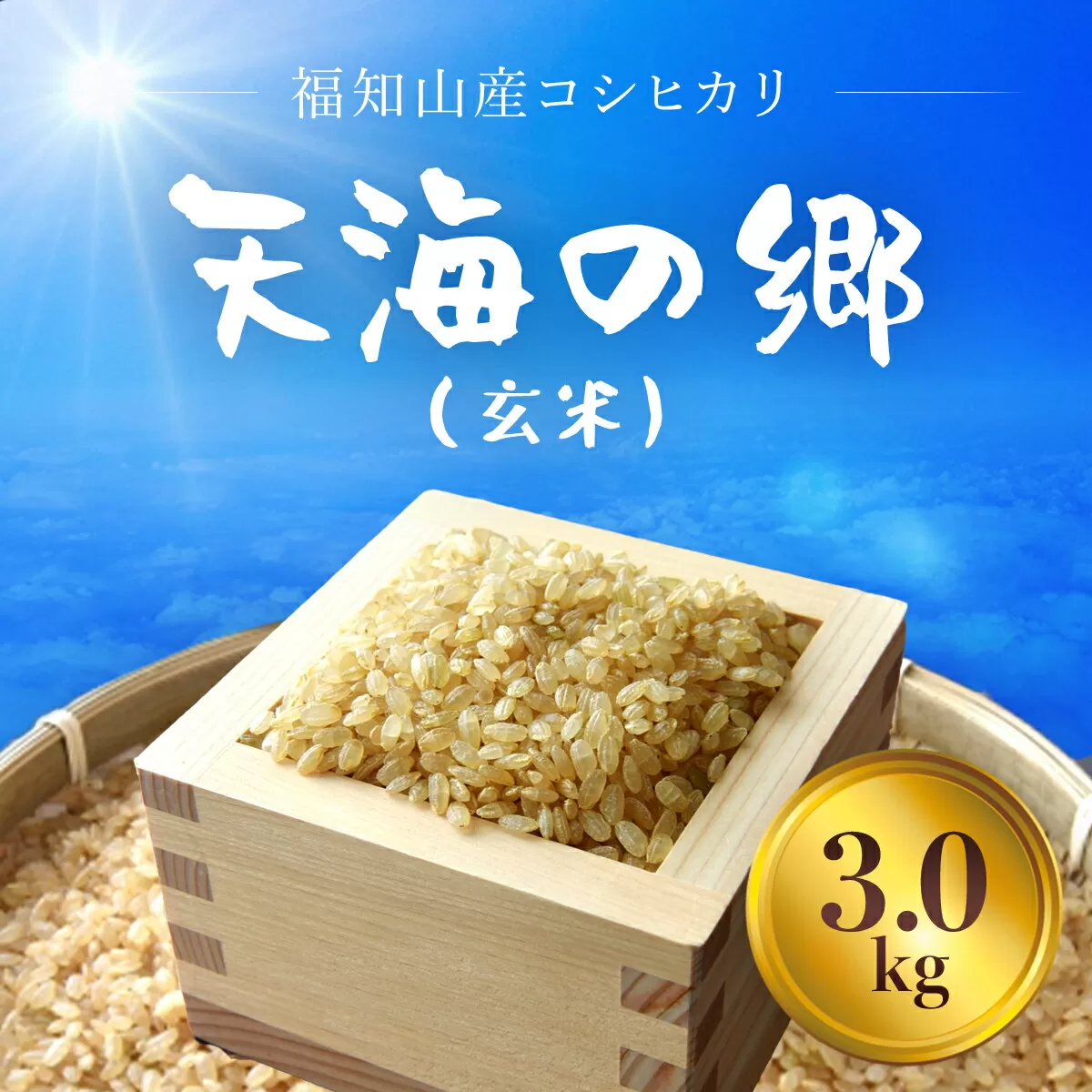 【令和6年産】福知山産コシヒカリ『天海の郷』天空に広がる天海の郷　3kg（玄米） ふるさと納税  こめ コメ 米 コシヒカリ こしひかり 玄米 おいしい 美味しい 美容 健康 天空 雲海 天海の郷 京都府 福知山市