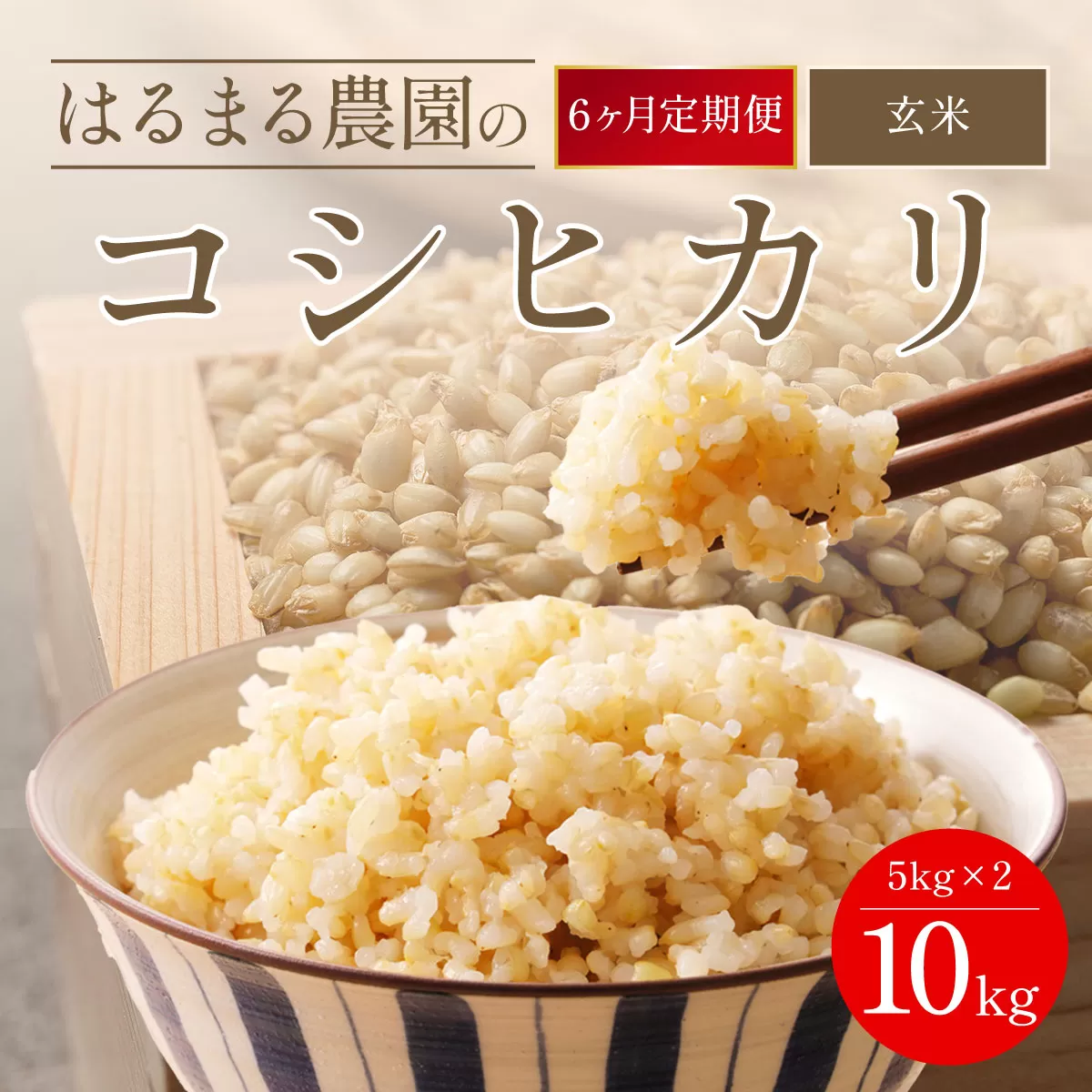 【先行予約】令和7年産新米　【定期便6ヵ月】はるまる農園のコシヒカリ 玄米10kg ／ ふるさと納税  米 こめ ご飯 ごはん 定期便 玄米 コシヒカリ こしひかり 福知山城献上米 豊冨米 京都府 福知山市 FCCN025