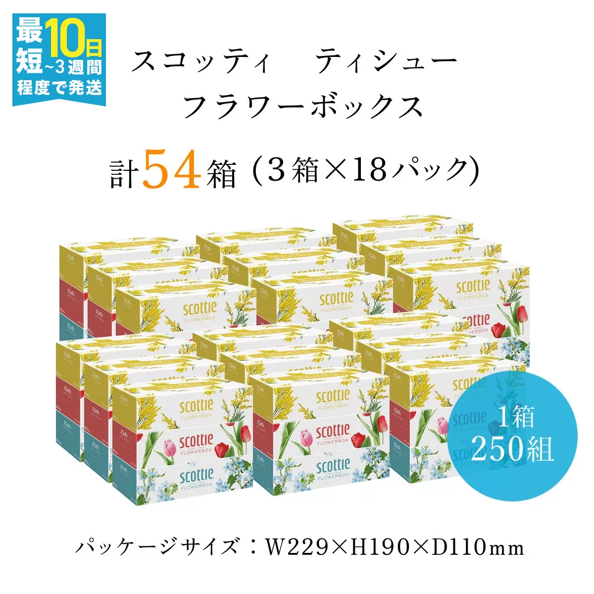 [ボックスティッシュ]スコッティティシューフラワーボックス250組54箱(1ケース3箱×18パック) ふるさと納税 スコッティティシュー フラワーボックス 3箱パック 250組入り 家庭用 日用品 消耗品 雑貨 大人気 おすすめ 日本製 まとめ買い 備蓄 常備品 防災 長持ちティシュー お肌 ワイパー 花柄 ミモザ チューリップ ブルースター ユーカリ かすみ草 京都 福知山市