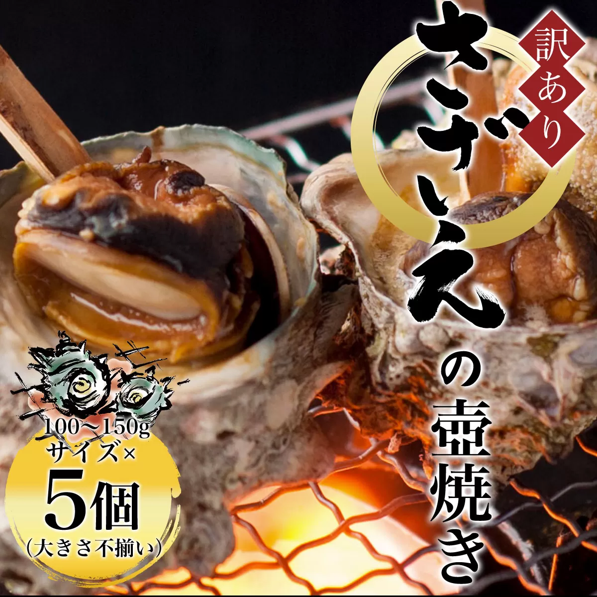 【訳あり】さざえの壺焼き 100〜150g サイズ×5個 （大きさ不揃い）  ふるさと納税 訳あり さざえ サザエ 壷 新鮮 京都府 福知山市 京都 奥京都