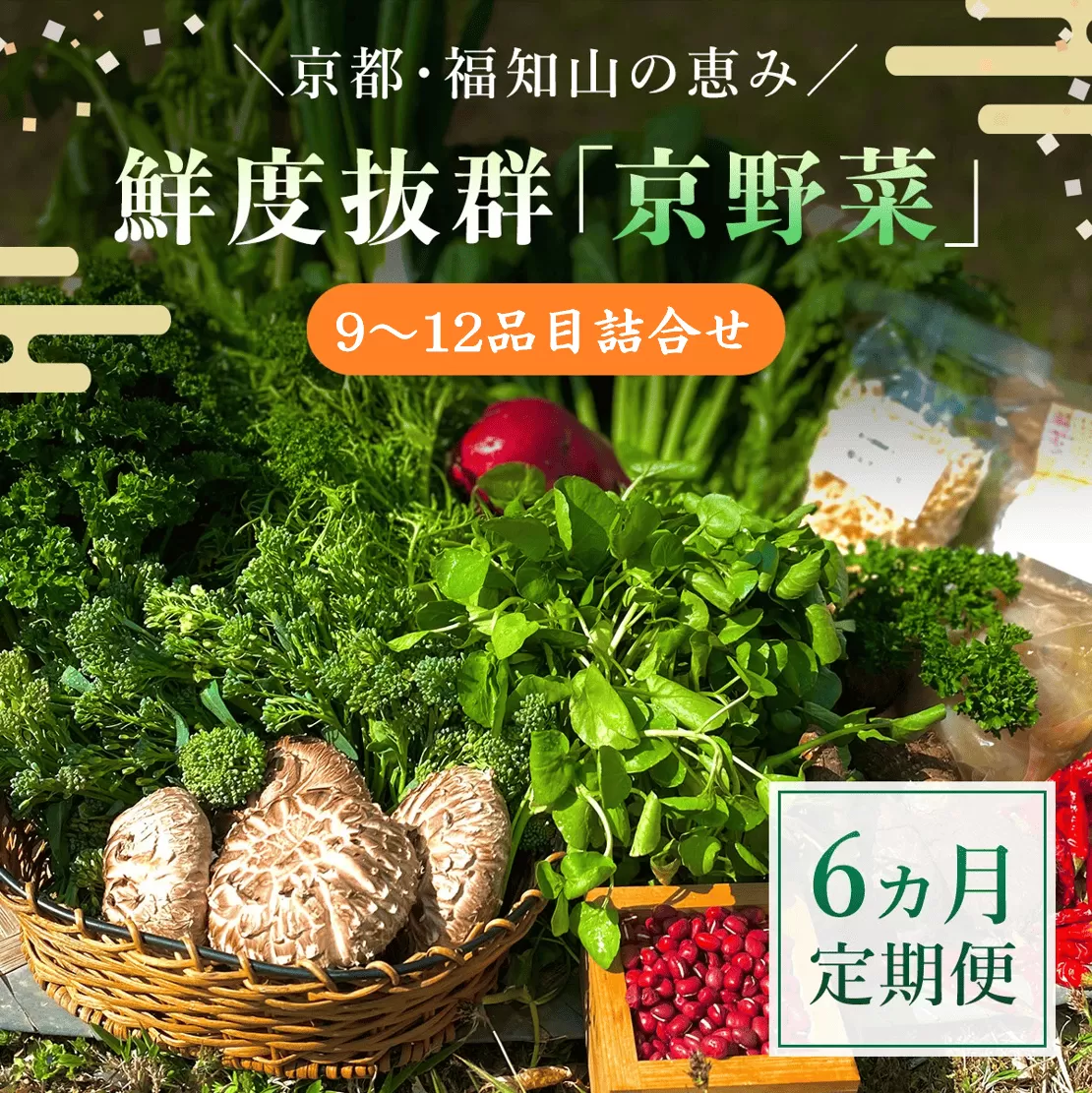 【6ヵ月定期便】鮮度抜群「京野菜」9～12品目詰合せ  ふるさと納税 京野菜 野菜 新鮮 9～12品目 詰合せ 定期便 6か月 京都府 福知山市