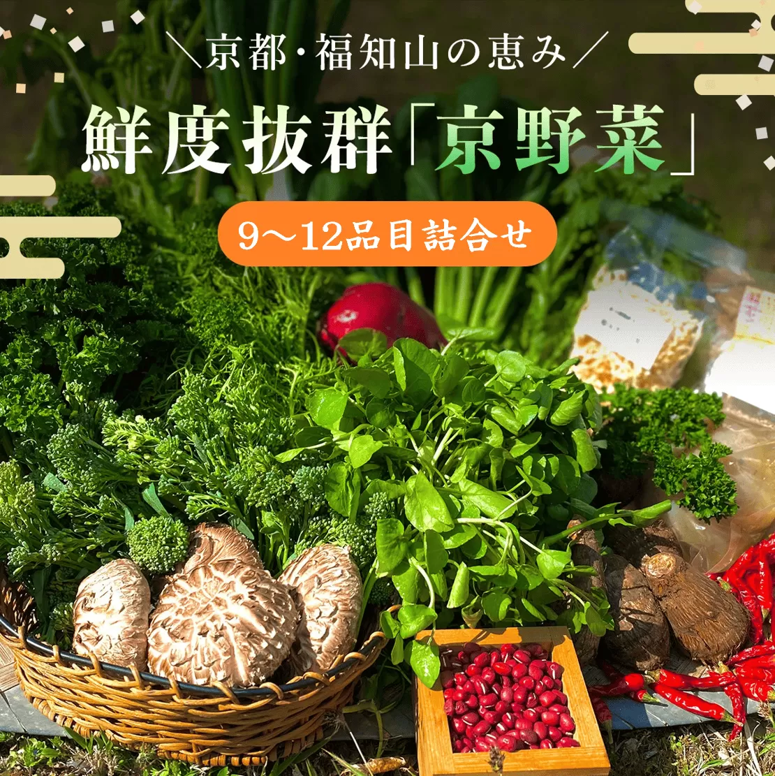 京野菜9～12品目詰合せ  ふるさと納税 新鮮 鮮度抜群 京野菜 野菜 京都府 福知山市 京都 福知山 ふるさと 奥京都