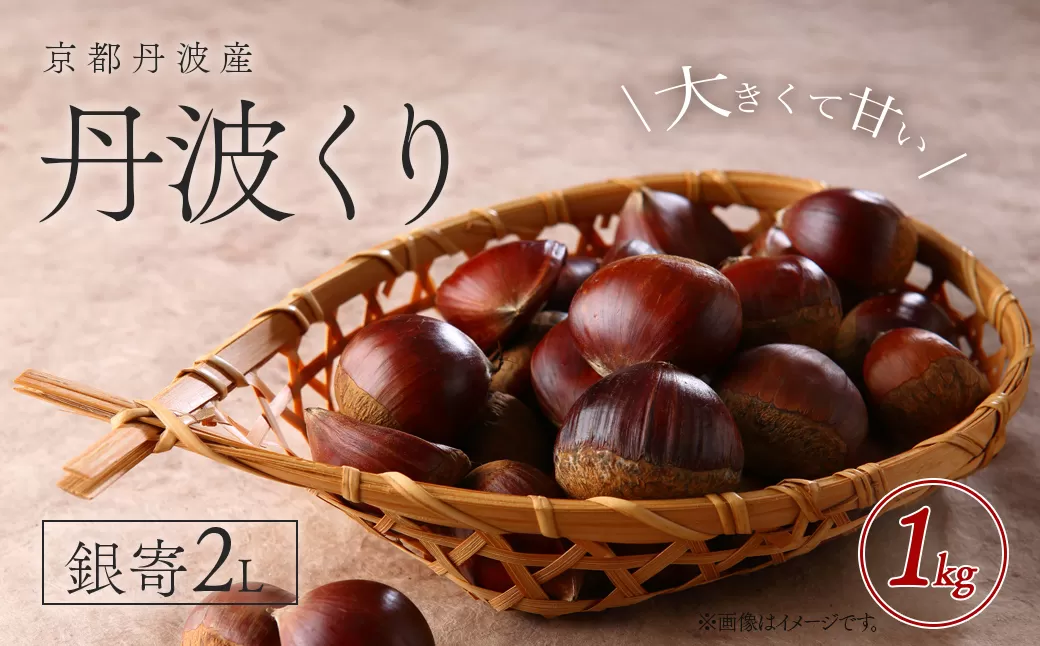 京都丹波産　丹波くり　銀寄2L　1kg FCFB003