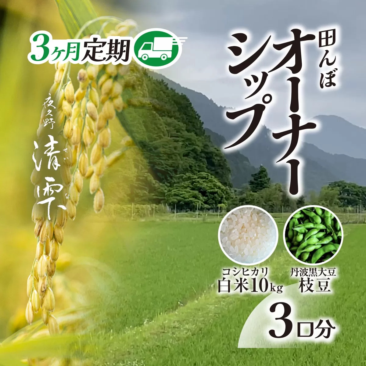 ＜令和7年10月中旬より発送！＞【3ヶ月定期】田んぼオーナーシップ3口分　清雫　白米10kg+黒ムラサキ（丹波黒大豆の枝豆）/ ふるさと納税 田んぼ オーナー制度 米 白米 令和7年度産 先行 10kg 3回 収穫 夜久野 京都 京都府 福知山 FCDB010