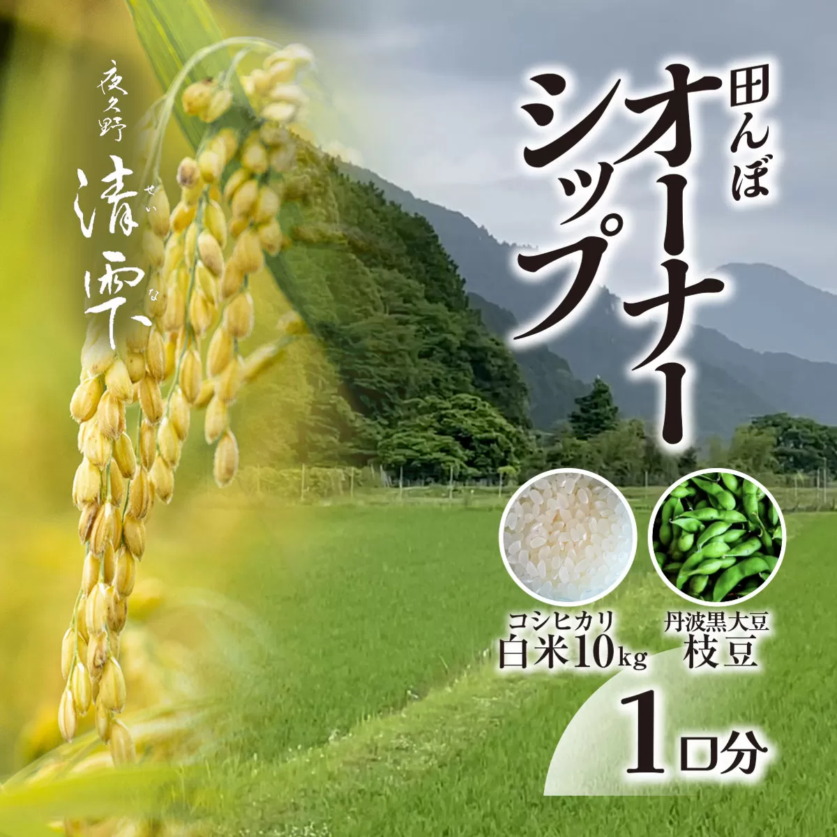 ＜令和7年10月中旬より発送！＞田んぼオーナーシップ1口分　清雫　白米10kg+黒ムラサキ（丹波黒大豆の枝豆）/ ふるさと納税 田んぼ オーナー制度 米 白米 令和7年度産 先行 収穫 夜久野 京都 京都府 福知山 FCDB009