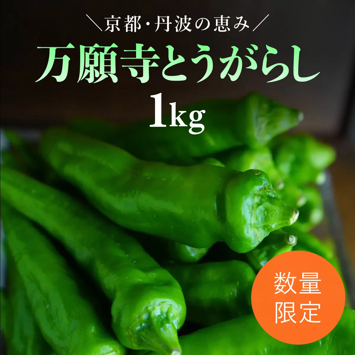 【2025年6月下旬発送開始！】万願寺とうがらし 1㎏ / ふるさと納税 京野菜 野菜 旬の野菜 万願寺とうがらし 伝統野菜 京都 京都府 福知山市 FCDB039
