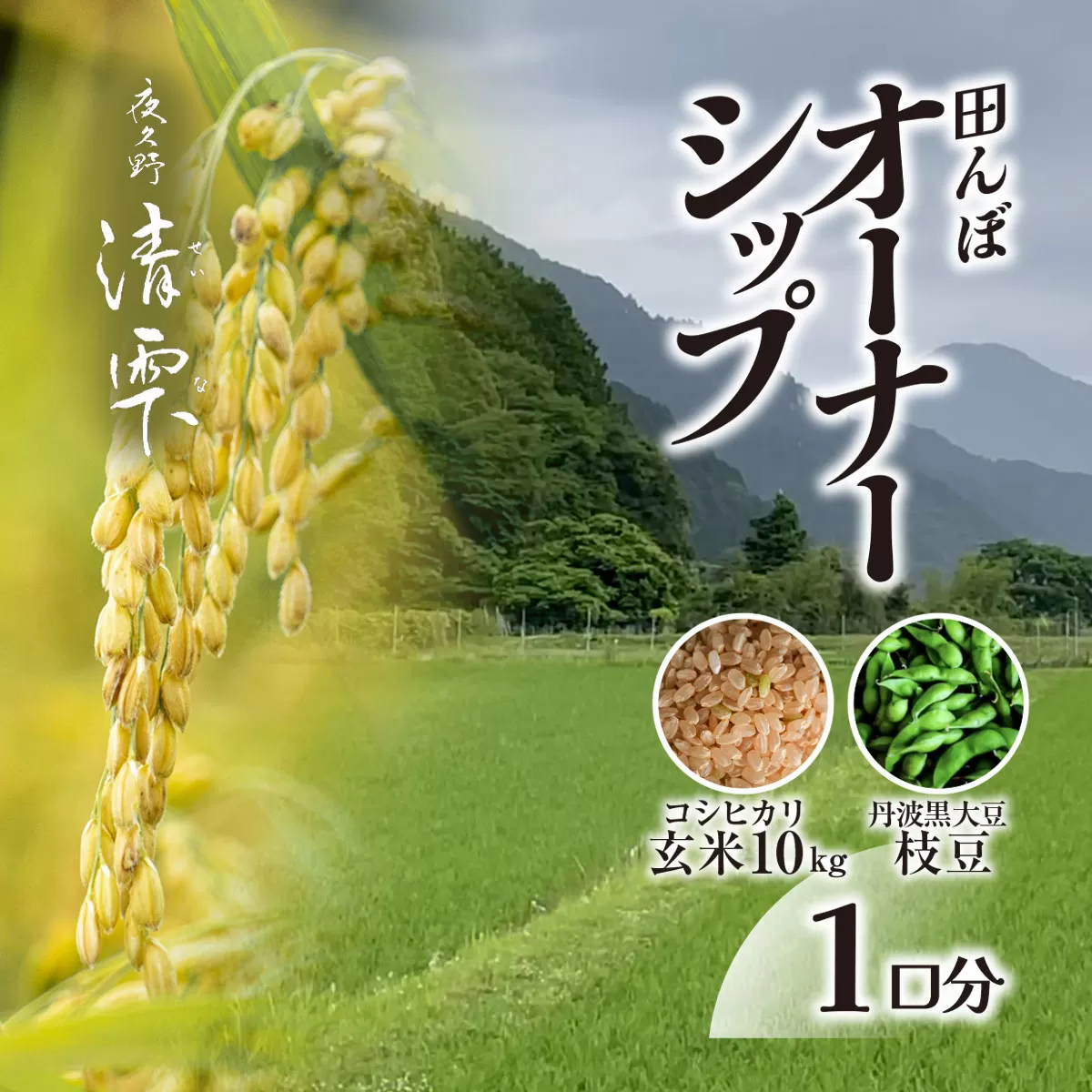 ＜令和7年10月中旬より発送！＞田んぼオーナーシップ1口分　清雫　玄米10kg+黒ムラサキ（丹波黒大豆の枝豆）/ ふるさと納税 田んぼ オーナー制度 米 玄米 令和7年度産 先行 収穫 夜久野 京都 京都府 福知山 FCDB005