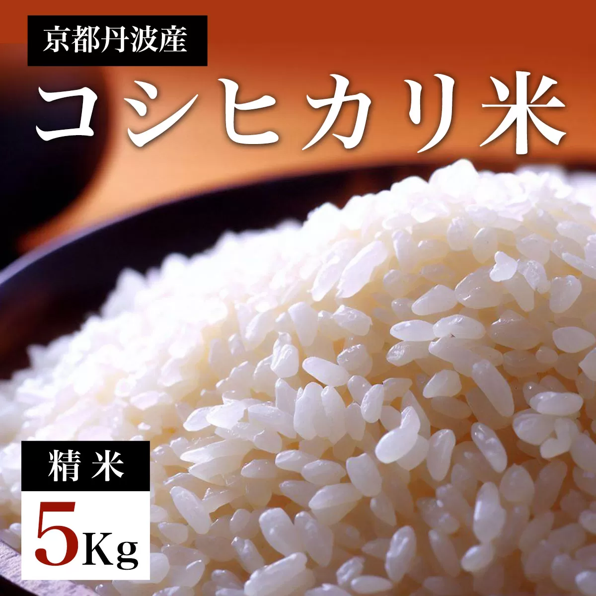 【先行予約】令和7年度産新米　京都丹波産　コシヒカリ米（精米）5kg  【ふるさと納税 米 新米 精米 コシヒカリ 特別栽培米 5kg 京都府 福知山市】 FCDF001