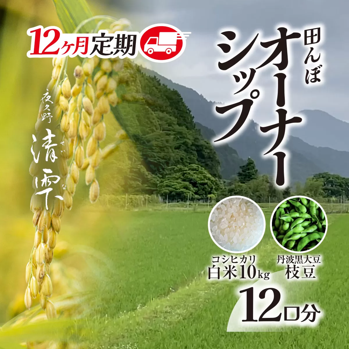 ＜令和7年10月中旬より発送！＞【12ヶ月定期】田んぼオーナーシップ12口分　清雫　白米10kg+黒ムラサキ（丹波黒大豆の枝豆）/ ふるさと納税 田んぼ オーナー制度 米 白米 令和7年度産 先行 定期 10kg 12回 収穫 夜久野 京都 京都府 福知山 FCDB012