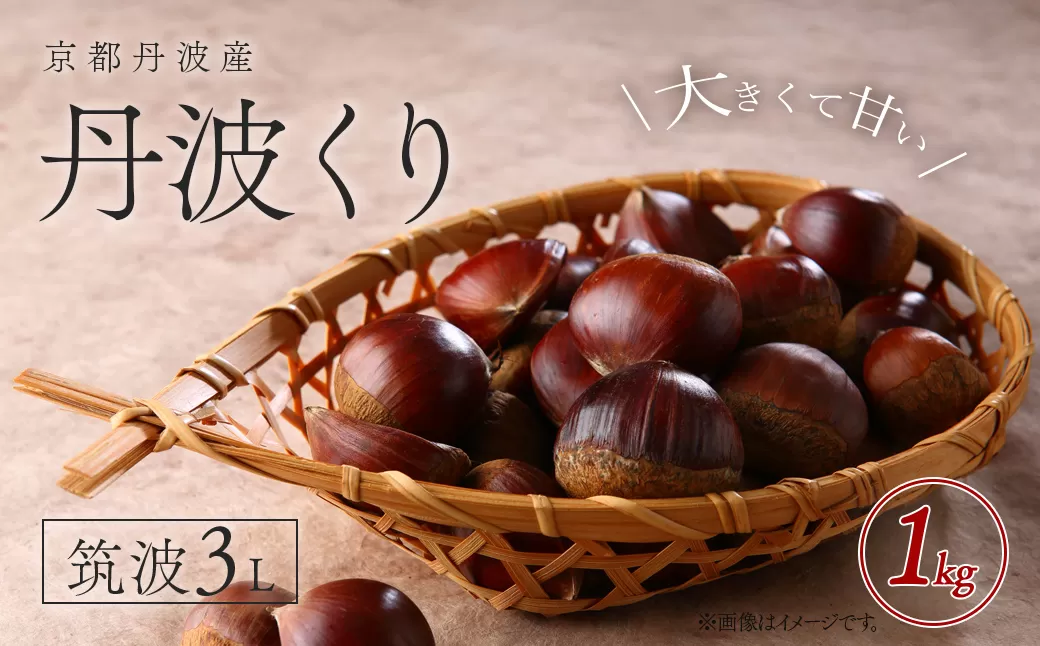 京都丹波産　丹波くり　筑波3L　1kg FCFB001