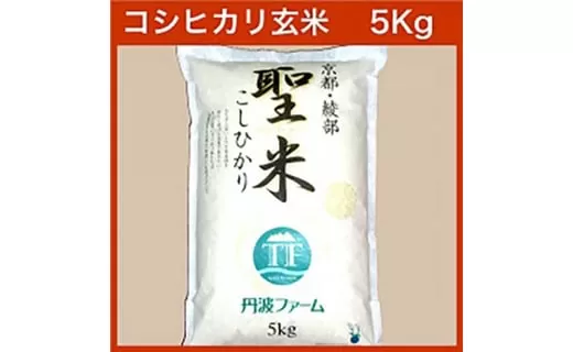 令和7年度産 コシヒカリ 「聖米」 玄米 5kg お米 米 玄米 精米 こしひかり 国産 京都 綾部
