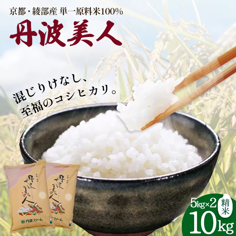 「丹波美人」白米 10kg （5kg×2） | 米 お米 こしひかり 白米 精米 ごはん おこめ 国産 京都府 綾部市