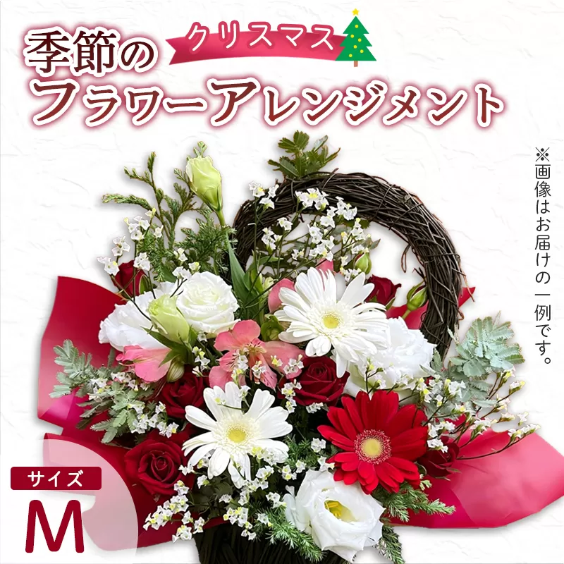 【クリスマス】 フラワーアレンジメント（M） | 花 お花 生花 フラワー フラワーアレンジメント 花束 クリスマス限定 配送地域限定 京都府 綾部市
