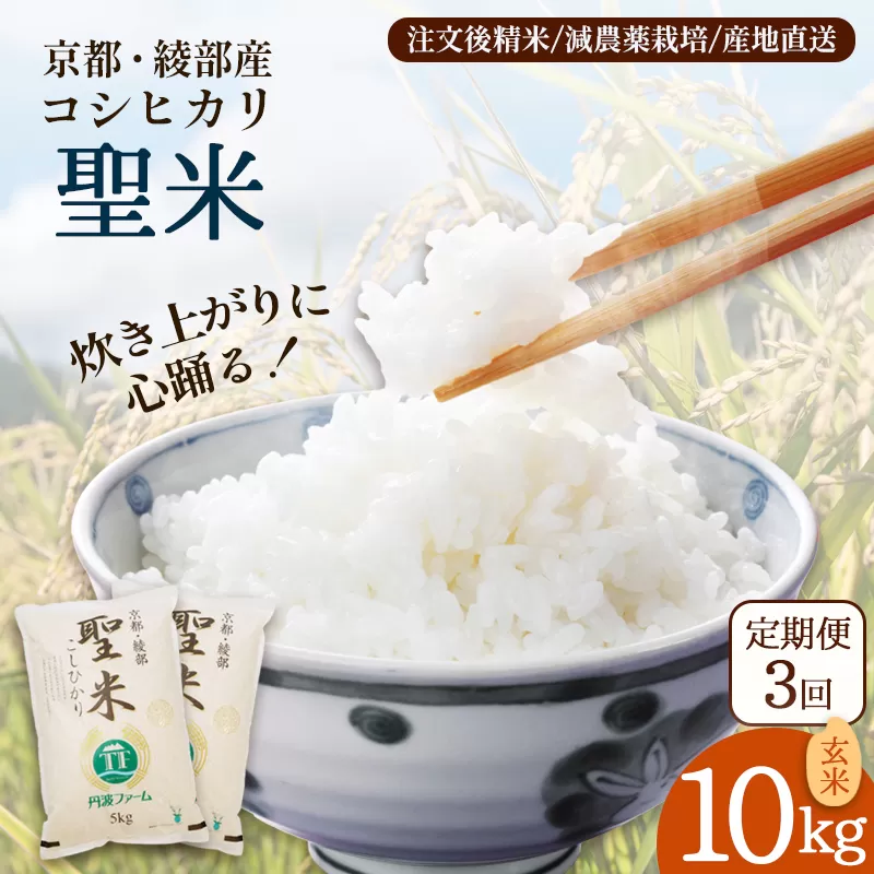 【定期便3回】 聖米(玄米) 10kg×3回 | 米 お米 こしひかり 玄米 ごはん おこめ 国産 お米の定期便 京都府 綾部市