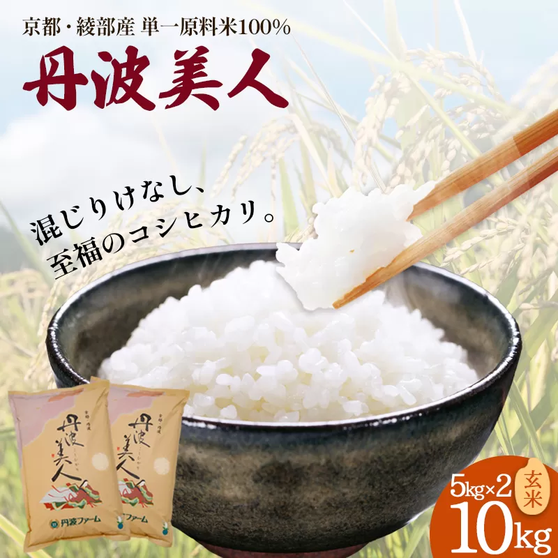 「丹波美人」 玄米 10kg（5kg×2） | 米 お米 こしひかり 玄米 ごはん おこめ 国産 10キロ 京都府 綾部市