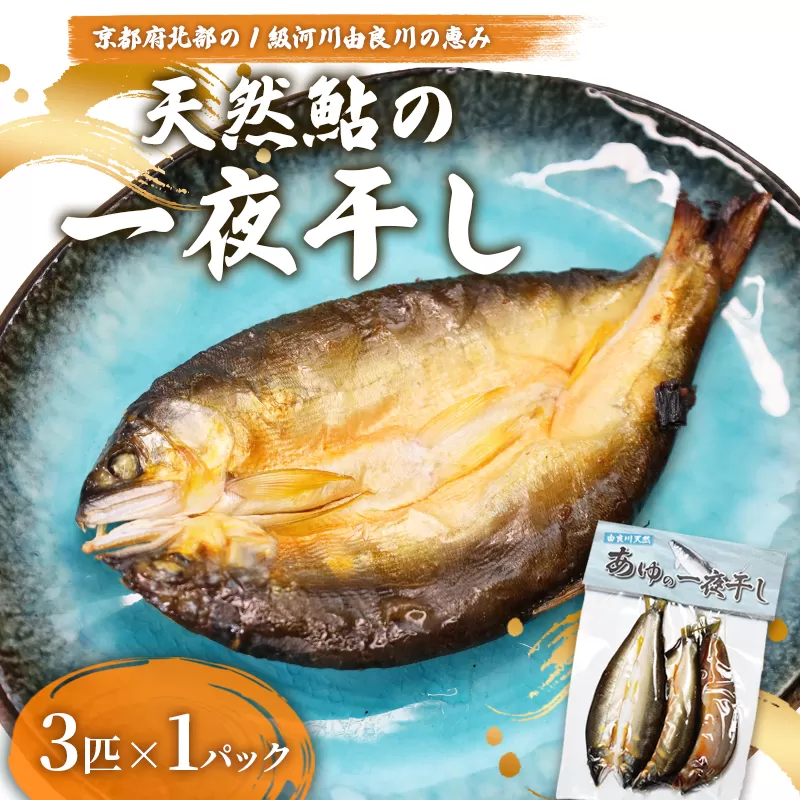 天然鮎 一夜干し 1パック（3匹） 【 由良川漁協 あゆ 鮎 アユ 魚 魚介 川魚 海鮮 一夜干し 鮎の一夜干し 干物 天然 熟成 綾部 京都 】