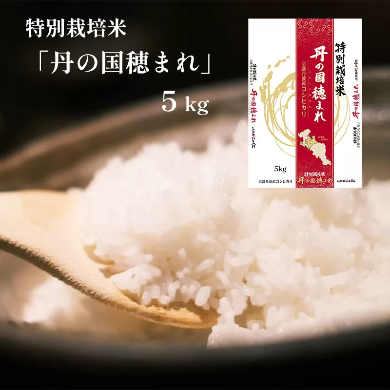 令和7年度産 特別栽培米コシヒカリ「丹の国穂まれ」 5kg お米 こしひかり 米 有機米 有機 綾部 京都