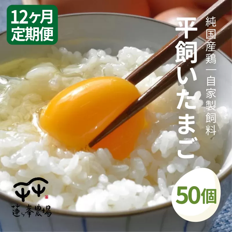 【定期便】 平飼いたまご 50個×12ヶ月間 【 卵定期便 たまご定期便 平飼い卵 非遺伝子組み換え 自家配合 たまご タマゴ 平飼い 卵 国産 純国産鶏 もみじの平飼い卵 京都奥丹波 綾部 京都 蓮ヶ峯農場 】