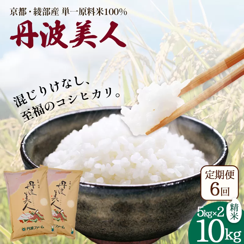 【定期便6回】丹波美人 白米 10kg（5kg×2）×6回 / 米 白米 定期便 綾部市 / 有限会社カメイ［BSDY052］