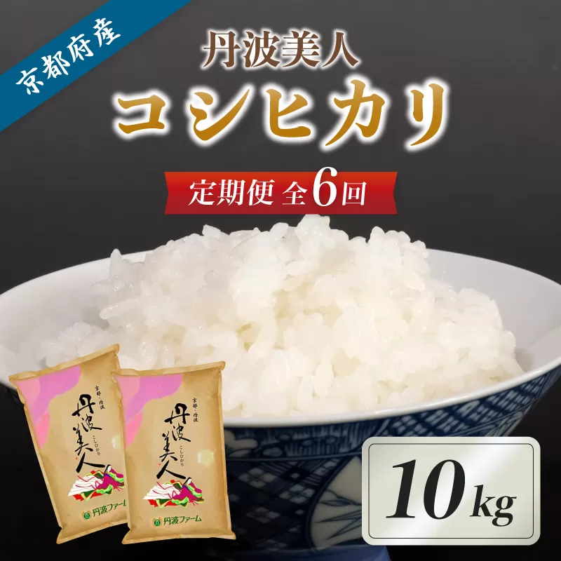 【6回毎月定期便】京都府産 コシヒカリ「丹波美人」白米10kg 令和7年度産 【 お米 米 白米 精米 こしひかり 国産 選べる 定期便 毎月発送 京都 綾部 】