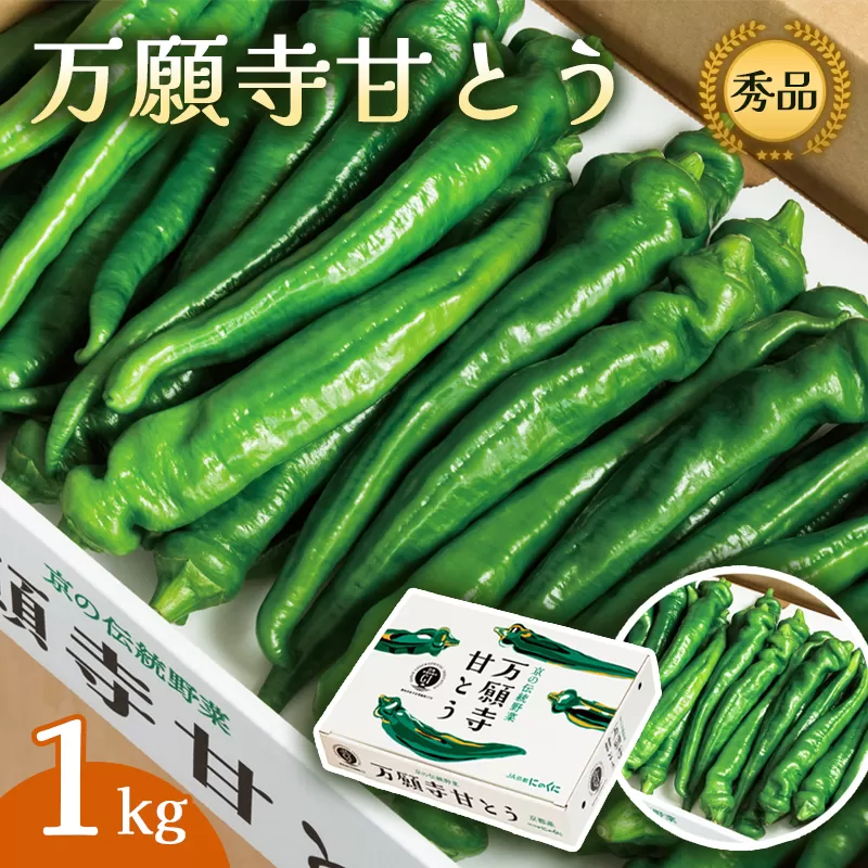 万願寺甘とう 秀品 1kg 【 肉厚 ジューシー 辛くない 唯一の京野菜 国産 旬 季節の野菜 詰め合わせ 京のブランド産品 京野菜 万願寺 野菜 夏野菜 化粧箱 地場野菜 お土産 手土産 JA 京都 綾部 】