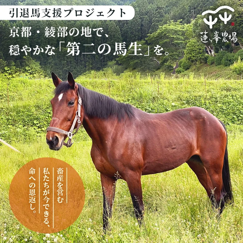 引退馬 飼育支援:寄付金額30,000円(返礼品なし) | 命への恩返し。引退馬に、自然豊かな綾部で穏やかな余生を。綾部市 引退馬の余生を支える。蓮ヶ峰農場 飼育支援寄付