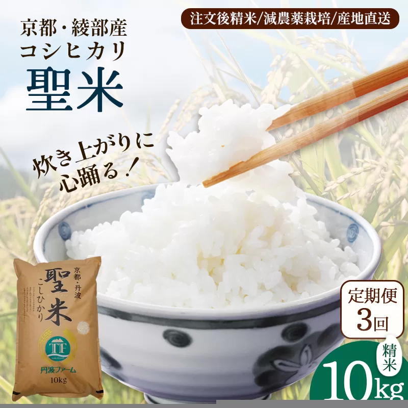 【定期便3回】 聖米(精米) 10kg×3回 | 米 お米 こしひかり 白米 精米 ごはん おこめ 国産 お米の定期便 京都府 綾部市
