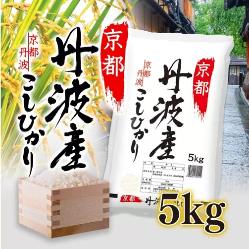 令和8年度産 丹波産 こしひかり 5kg  【10月より順次発送】  / 米 お米 国産 綾部市 / 株式会社丸越［BSCI002］
