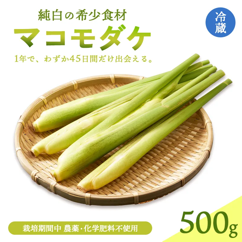 マコモダケ 500g | 綾部市産 マコモダケ 栽培期間中農薬不使用 選べる容量